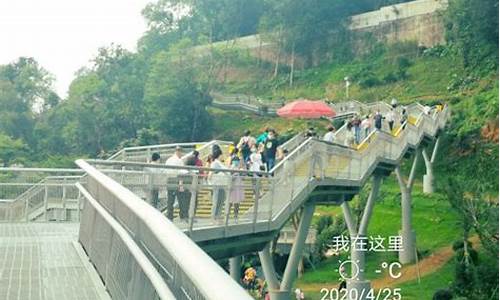 花都花果山公园生物,花都 花果山公园