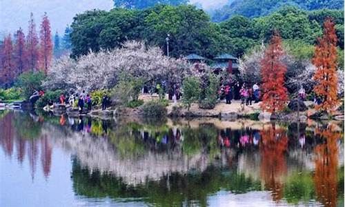 春季旅游景点推荐_春季游玩好去处