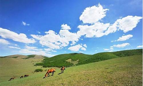 丰宁坝上草原旅游攻略2天自驾游_丰宁坝上草原旅游攻略2天自驾