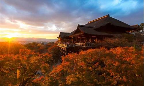 京都游玩攻略一日游_京都旅行攻略