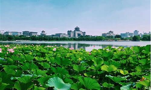 厦门莲花公园春满园餐厅,厦门市莲花花园