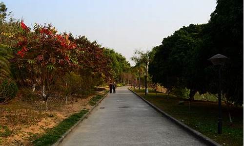 广州龙头山好玩吗_广州龙头山森林公园游玩攻略一日游