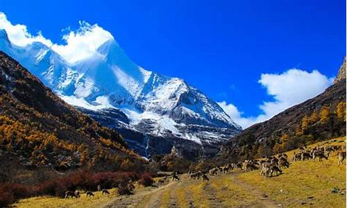 稻城亚丁旅游攻略五天必去景点有哪些_稻城亚丁旅游路线