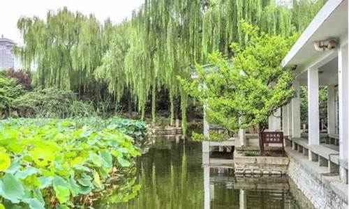 济南百花公园需要门票吗,济南百花公园附近住宿