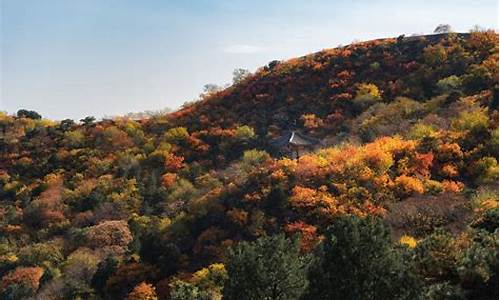 喇叭沟门国家森林公园营业时间,喇叭沟门原始森林公园门票