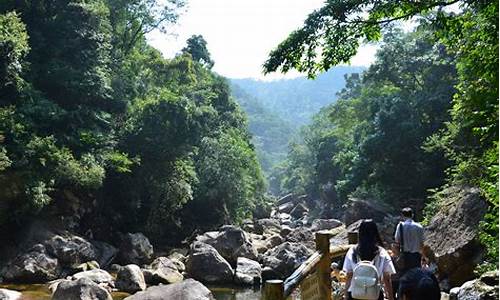 十万大山森林公园露营地,十万大山原始森林公园