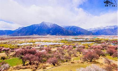 林芝旅游必去的景点,林芝旅游攻略必玩的景点推荐理由