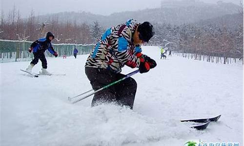 大连劳动公园滑冰-旅游滑雪大连劳动公园