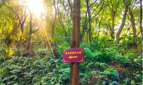 滴水岩生态园-滴水岩森林公园门票多少钱