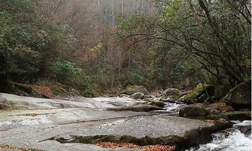 光雾山旅游攻略最新租车-光雾山风景区怎么玩