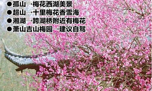 杭州春季旅游最佳去处_杭州春季旅游攻略路